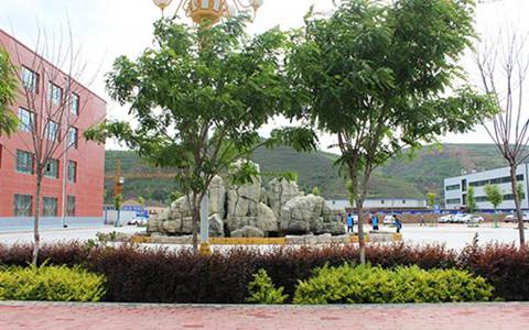 成都市蜀興職業(yè)中學(xué)學(xué)前教育專業(yè)