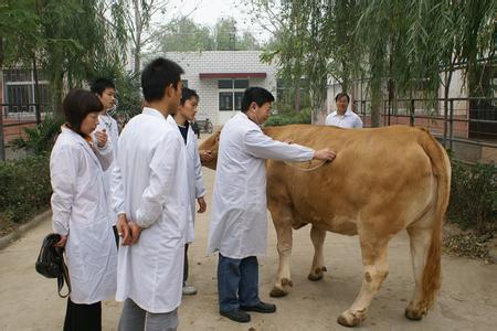 畜牧獸醫專業